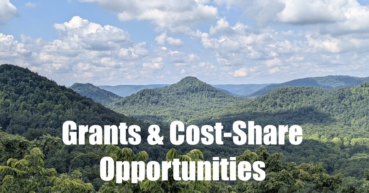 Estill & Jackson County Forestland Grants text over Eastern Kentucky Mountains