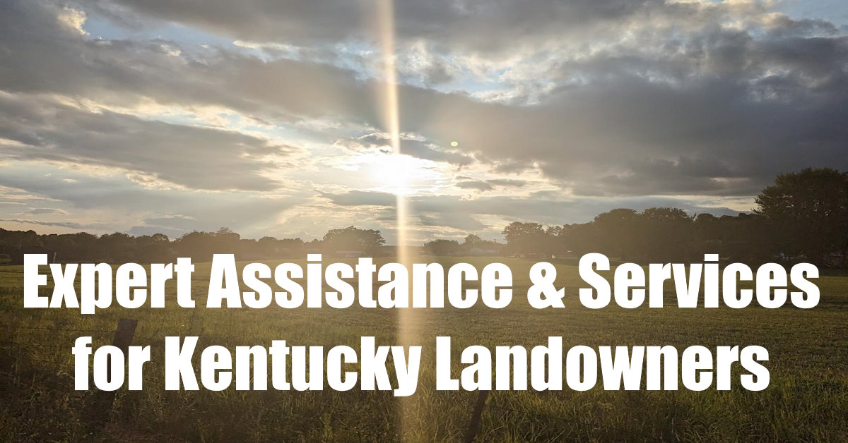 A farm in Jackson County, Kentucky