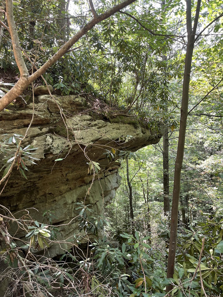 Rock formation in Eastern Kentucky forest